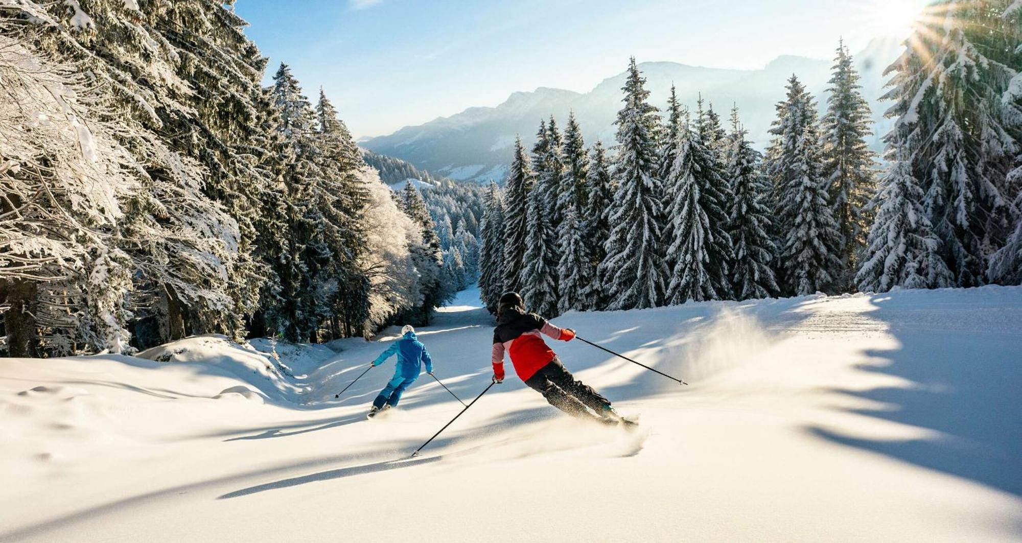 Exklusive Fewo Allgaeustern Steibis Mit Wlan Sauna Kamin Und Oberstaufen Plus Card Kültér fotó